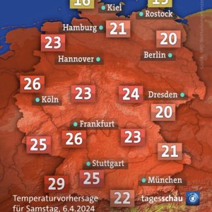 Die Klimaapokalypse ist da! Wir werden alle sterben!