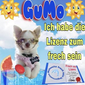 wer hat uns programmiert?