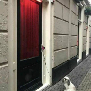Papa ist gleich wieder da