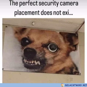 lol das 0wge