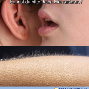 Panic flirtet