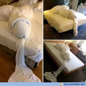 Hat die Putzfrau gut gemacht