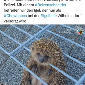 Gibt anscheinend sonst nix zu berrichten