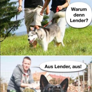 Der Hunt!