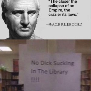 Der Bibliotheksparagraph