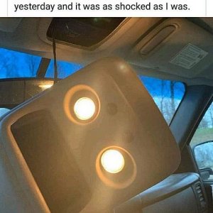Ermergerd