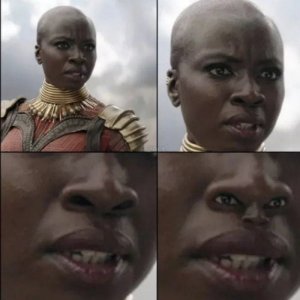 Der Schwaze Panther