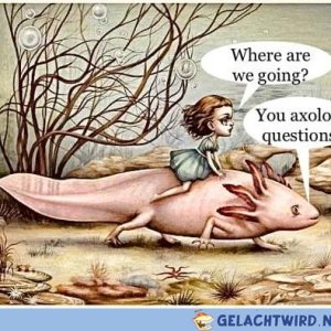Fragwürdiger Witz