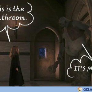 Rowling und die Transenkritik
