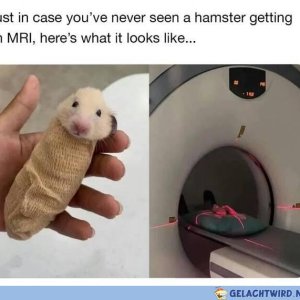 lol die Wurst