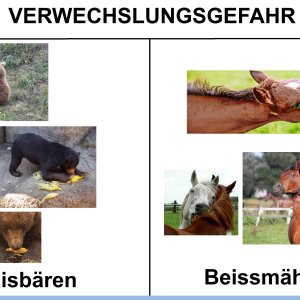 Aus aktuellem Anlass