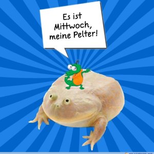 Meine Kerle