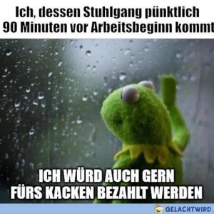 Anfänger