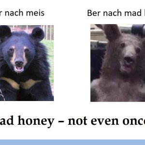 psychedelischer honig vs. meis