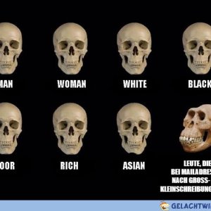 Hass und Vergeltung!