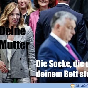 Kein schöner Fund