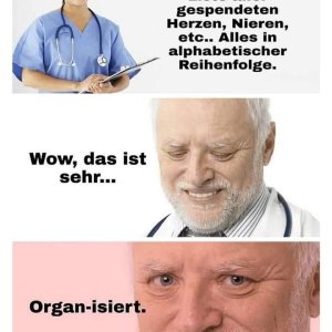 Das halbe Leben.