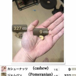 Chinesische Kalorien-App