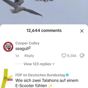 talahon