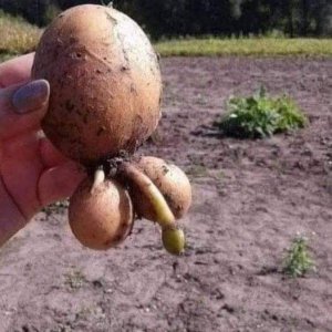 Den kenn ich doch!