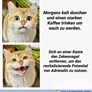 Könnt ich um mich treten