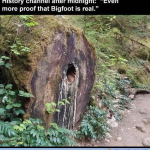 Big Foot is alive