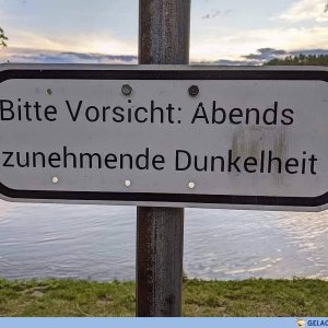 Amerikanische Wissenschaftler fanden heraus