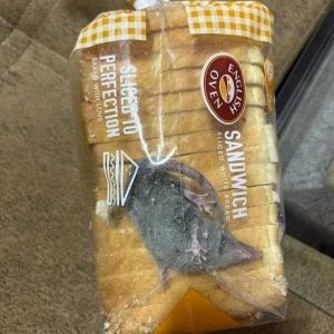 Inkl. Protein-Snack