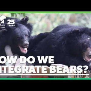 Beren integration
