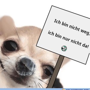 Ich bin nicht traurig dass er weg ist,