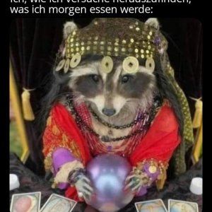 Und dann ab damit in den Fressfaden