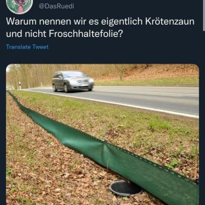 Rüdi hat ma wieder die geilsten Ideen