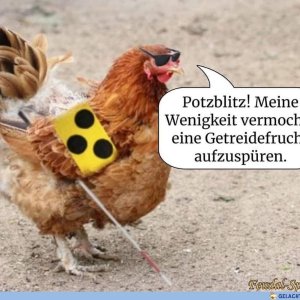 Lel des Huhn