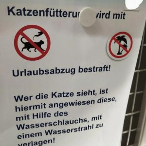 Raus mit de Viecher
