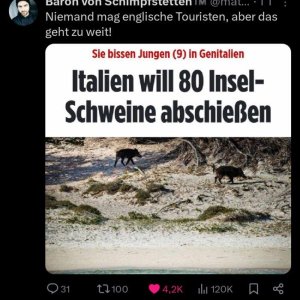 Neulich in Genitalien