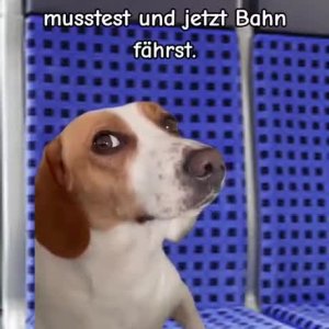 Na sauber