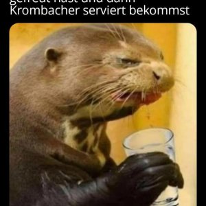Das natürlich net so schön