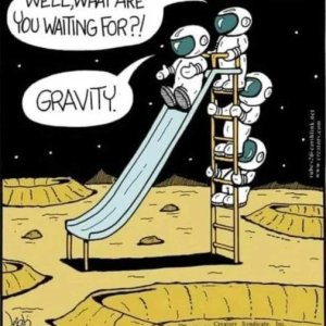 Gravitation