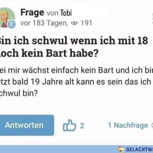 Diese Fragen