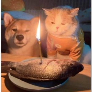 Alles Gute
