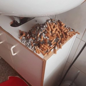 Beim Kacken raucht ihr net?