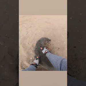 Bisschen was zum schmunzlorn