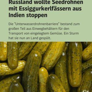 Einmal mit Profis