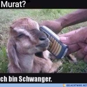 Damit hat er nicht gerechnet