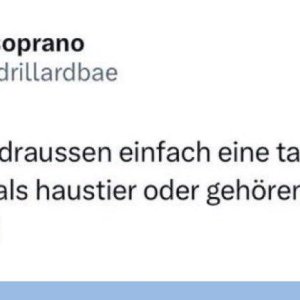 Die wichtigen Fragen