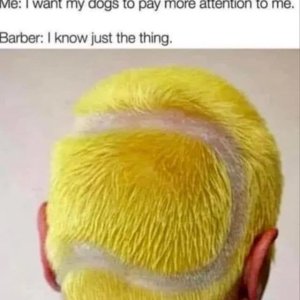 Say no more