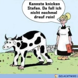 Dieser Stefan