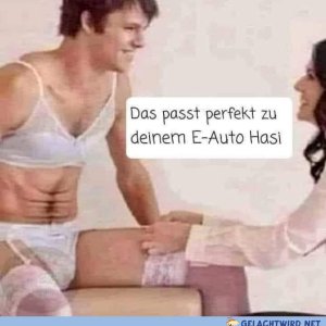 E-Auto Schwuchteln