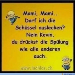 Ok einer noch aber dann reichts 🤣