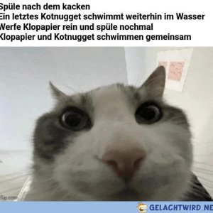 Panikmodus initiiert